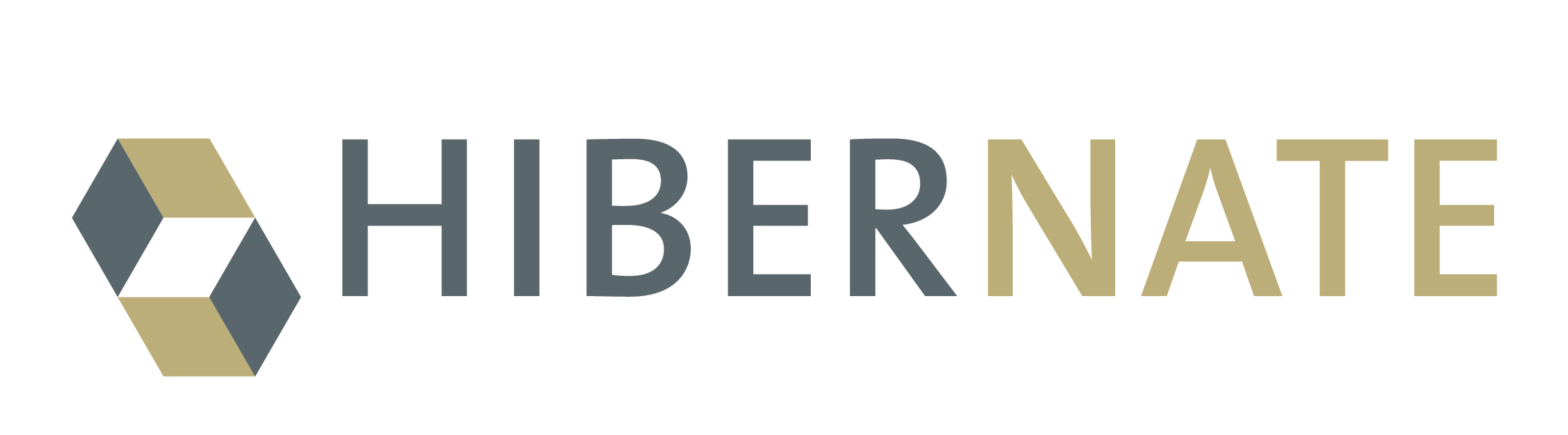 Hibernate: Effective Loading Strategies and Caching